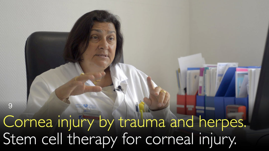 Lesione corneale da trauma e herpes. Terapia con cellule staminali per lesione corneale. 9