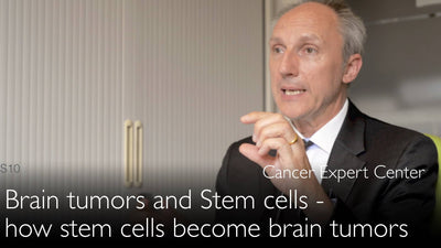 Tumori cerebrali e cellule staminali. Come le cellule staminali diventano cancro al cervello. 9