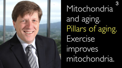 Mitocondri e invecchiamento. Pilastri dell'invecchiamento. L'esercizio fisico migliora i mitocondri. 3