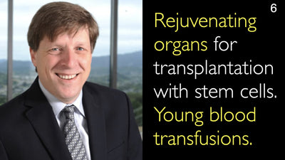 Rigenerazione degli organi per il trapianto con cellule staminali. Trasfusioni di sangue giovane. 6