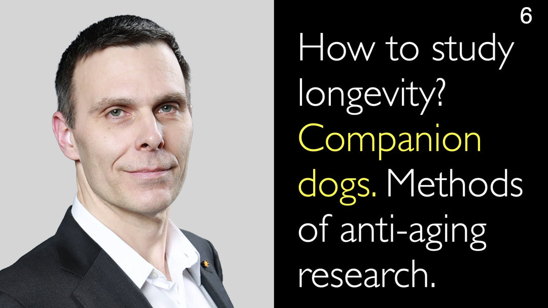 Come studiare la longevità? Cani da compagnia. Metodi di ricerca sull'anti-invecchiamento. 6
