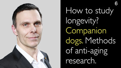 Come studiare la longevità? Cani da compagnia. Metodi di ricerca sull'anti-invecchiamento. 6