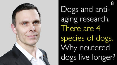 Cani e ricerca sull'anti-invecchiamento. Esistono 4 specie di cani. Perché i cani castrati vivono più a lungo? 8
