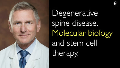 Malattia degenerativa della colonna vertebrale. Biologia molecolare e terapia con cellule staminali. 9