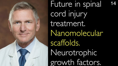 Futuro nel trattamento delle lesioni del midollo spinale. Scaffold nanomolecolari. Fattori di crescita neurotrofici. 14