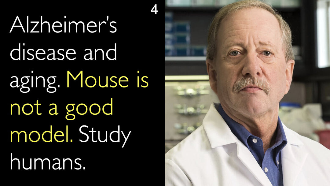Alzheimer’s disease and aging. Mouse is not a good model. Study humans. 4