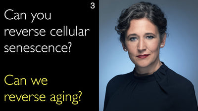 È possibile invertire la senescenza cellulare? Possiamo invertire l'invecchiamento? 3